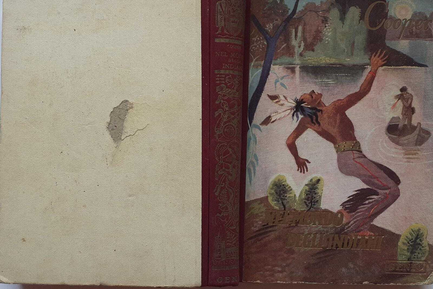 Nel mondo degli indiani - copertina