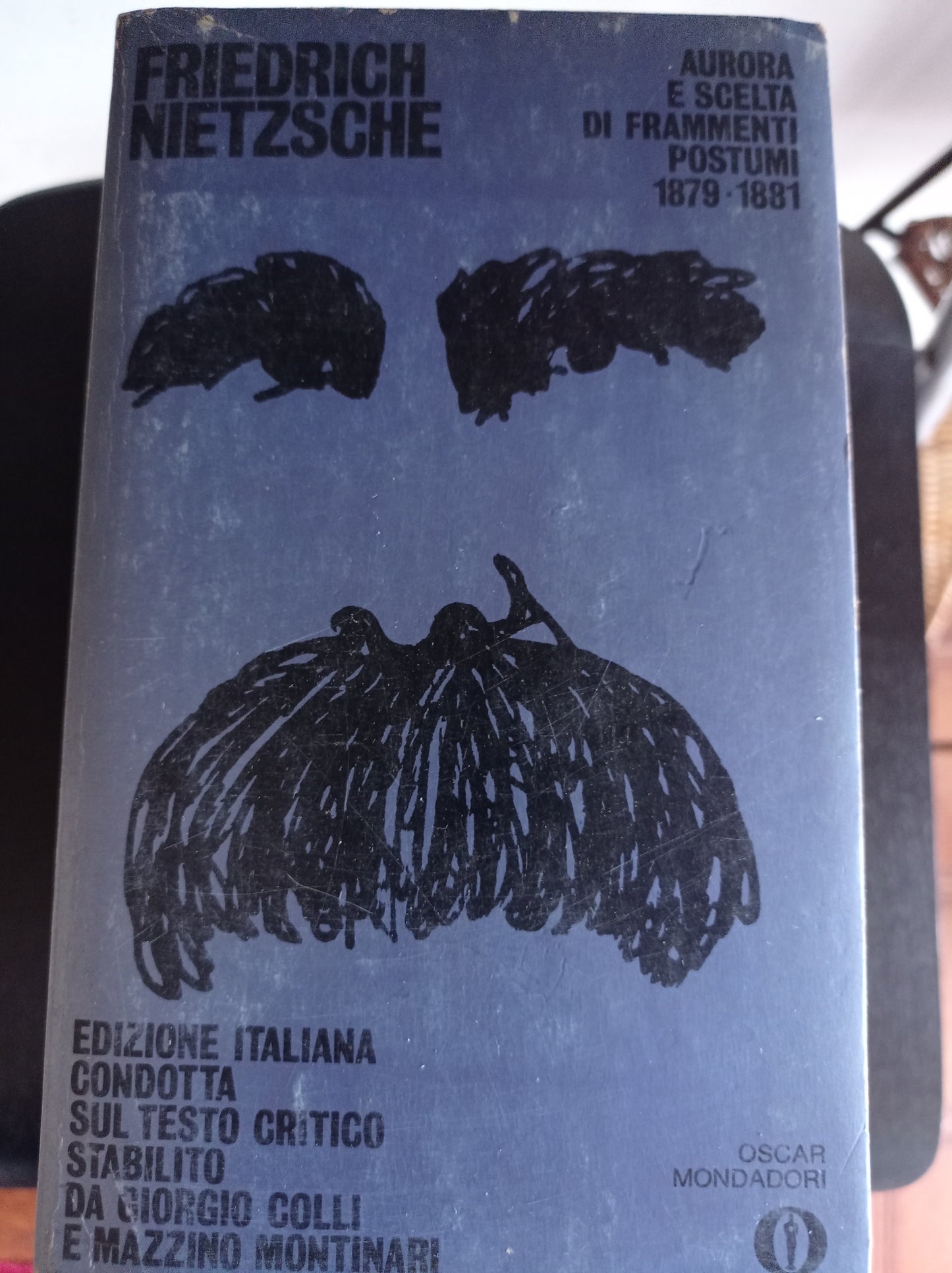 Aurora e scelta di frammenti postumi 1879 1881 - copertina