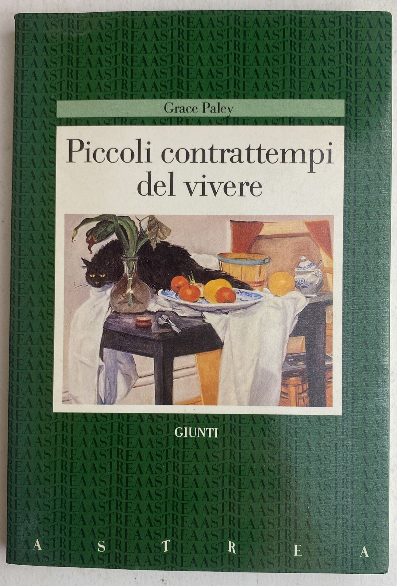 Piccoli contrattempi del vivere - copertina