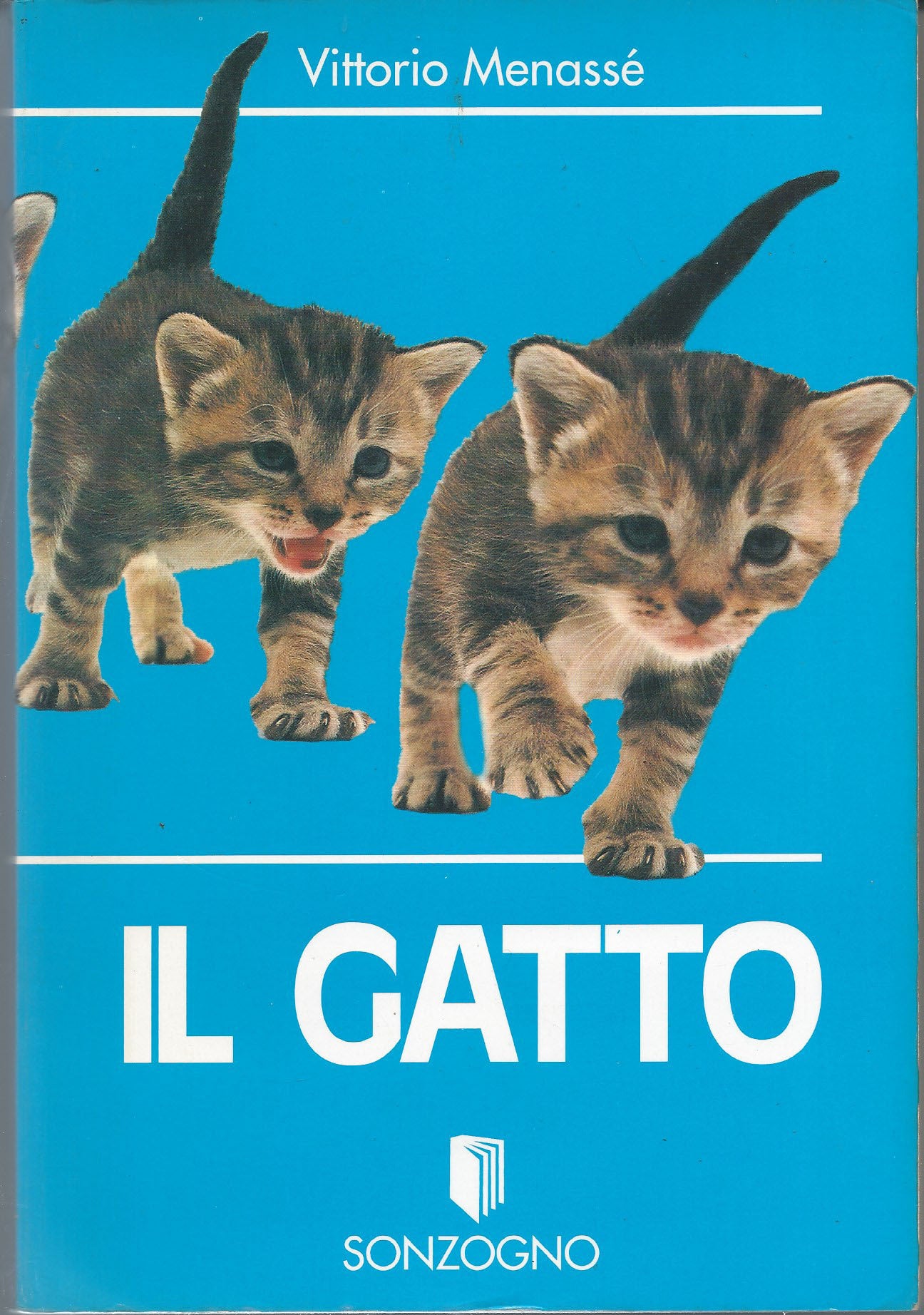Il gatto - copertina