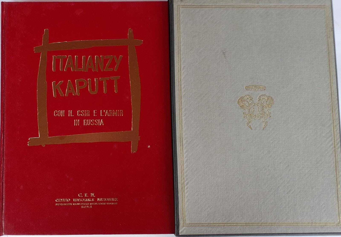 Italianzy Kaputt con il Csir e l'Armir in Russia - copertina