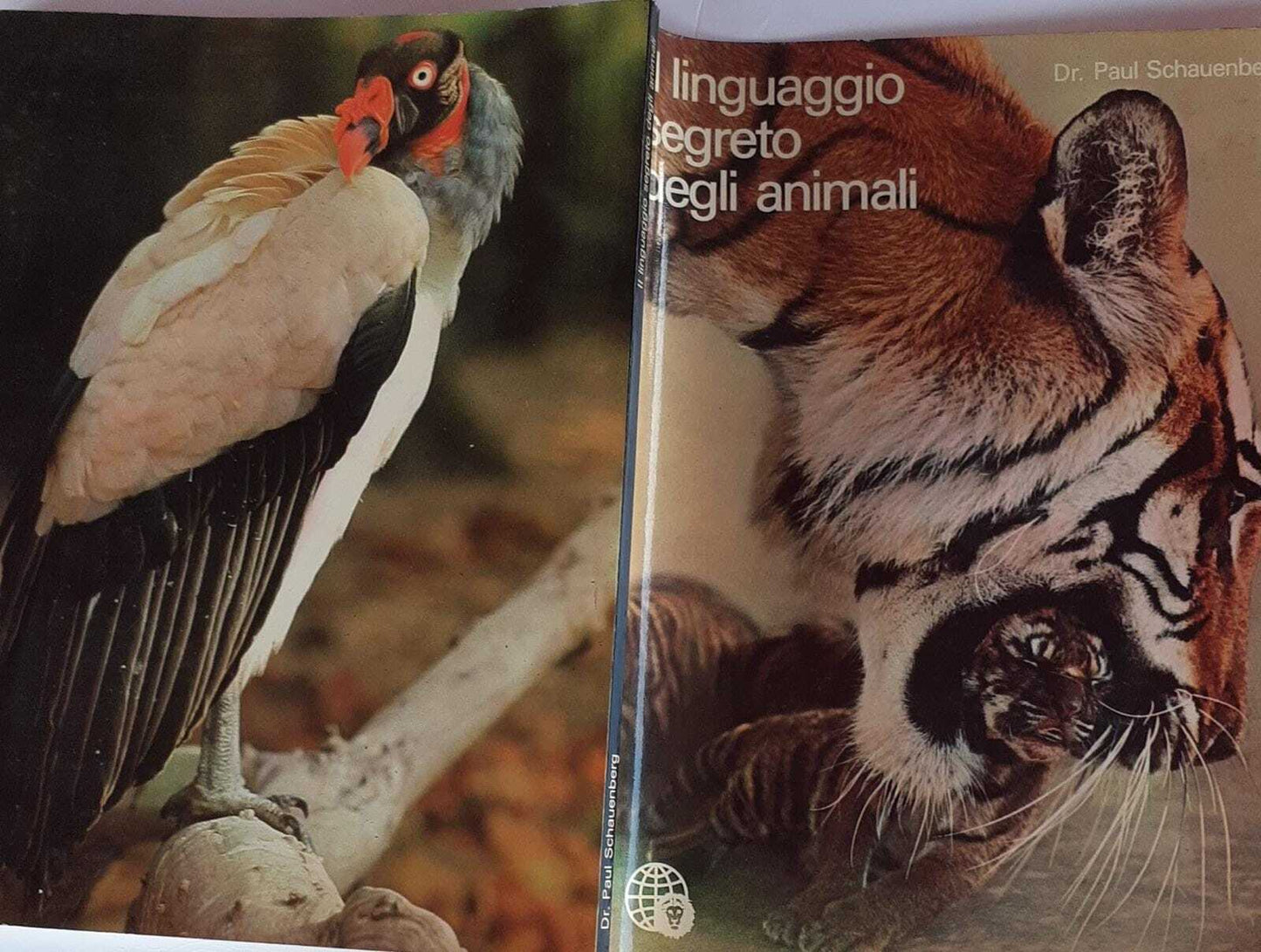 Il linguaggio segreto deli animali - copertina