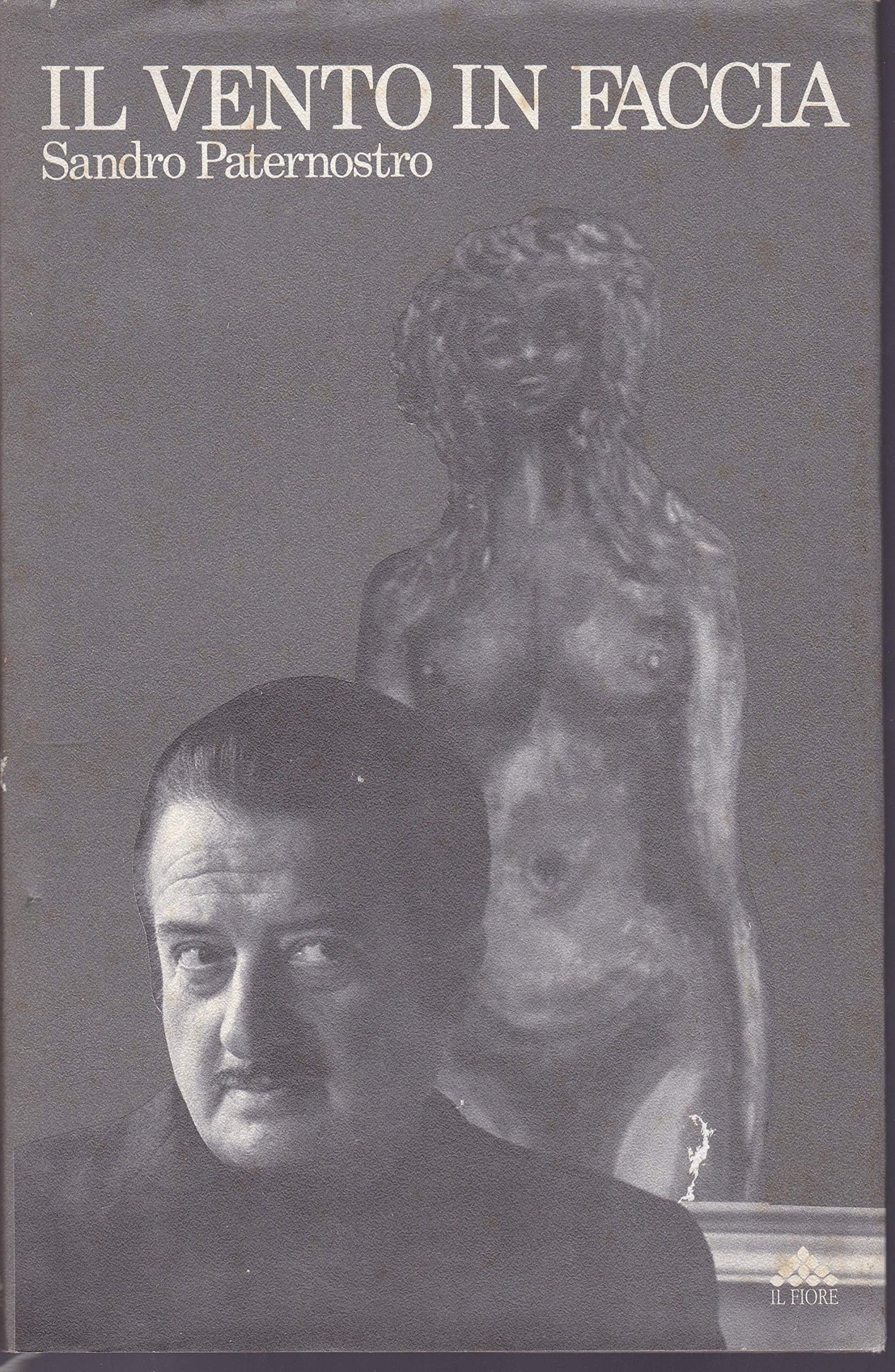 Il vento in faccia. Poesie e disegni - copertina