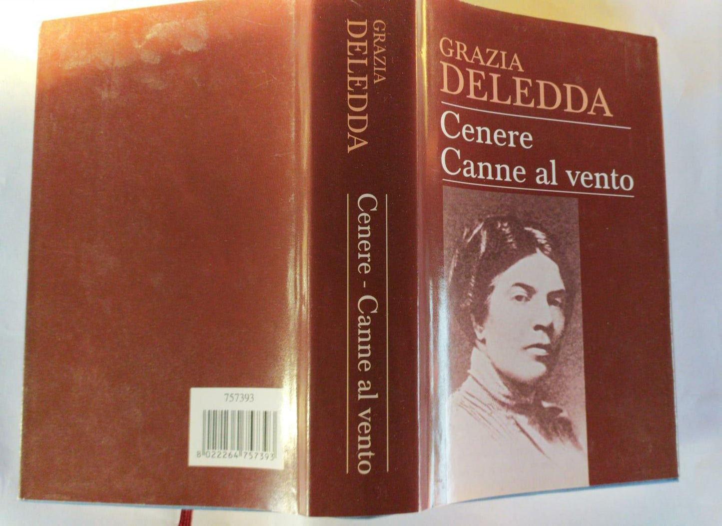 Cenere Canne al vento - copertina