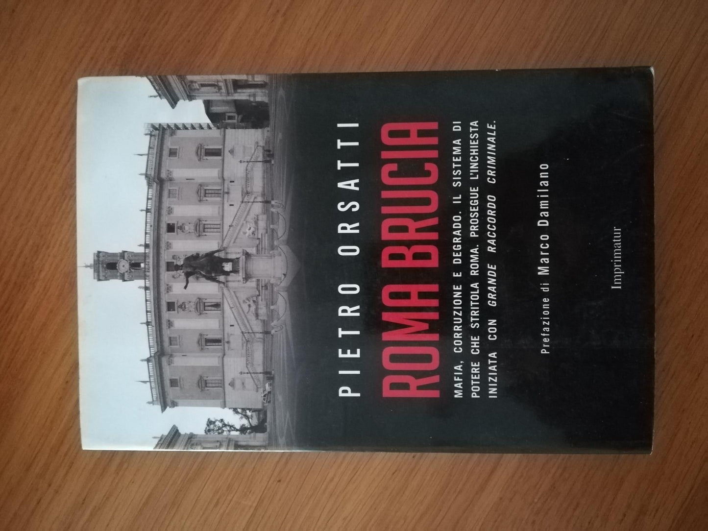 Roma brucia : mafia, corruzione e degrado : il sistema di potere che stritola Roma - copertina