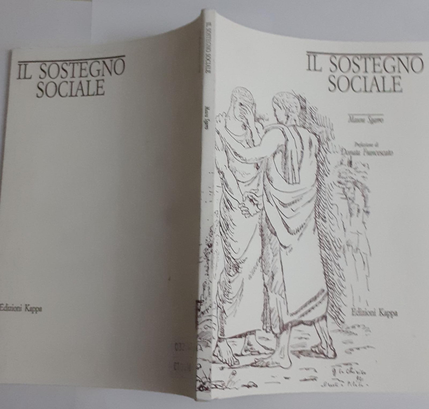 Il sostegno sociale - copertina