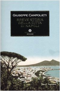Breve storia della città di Napoli - copertina