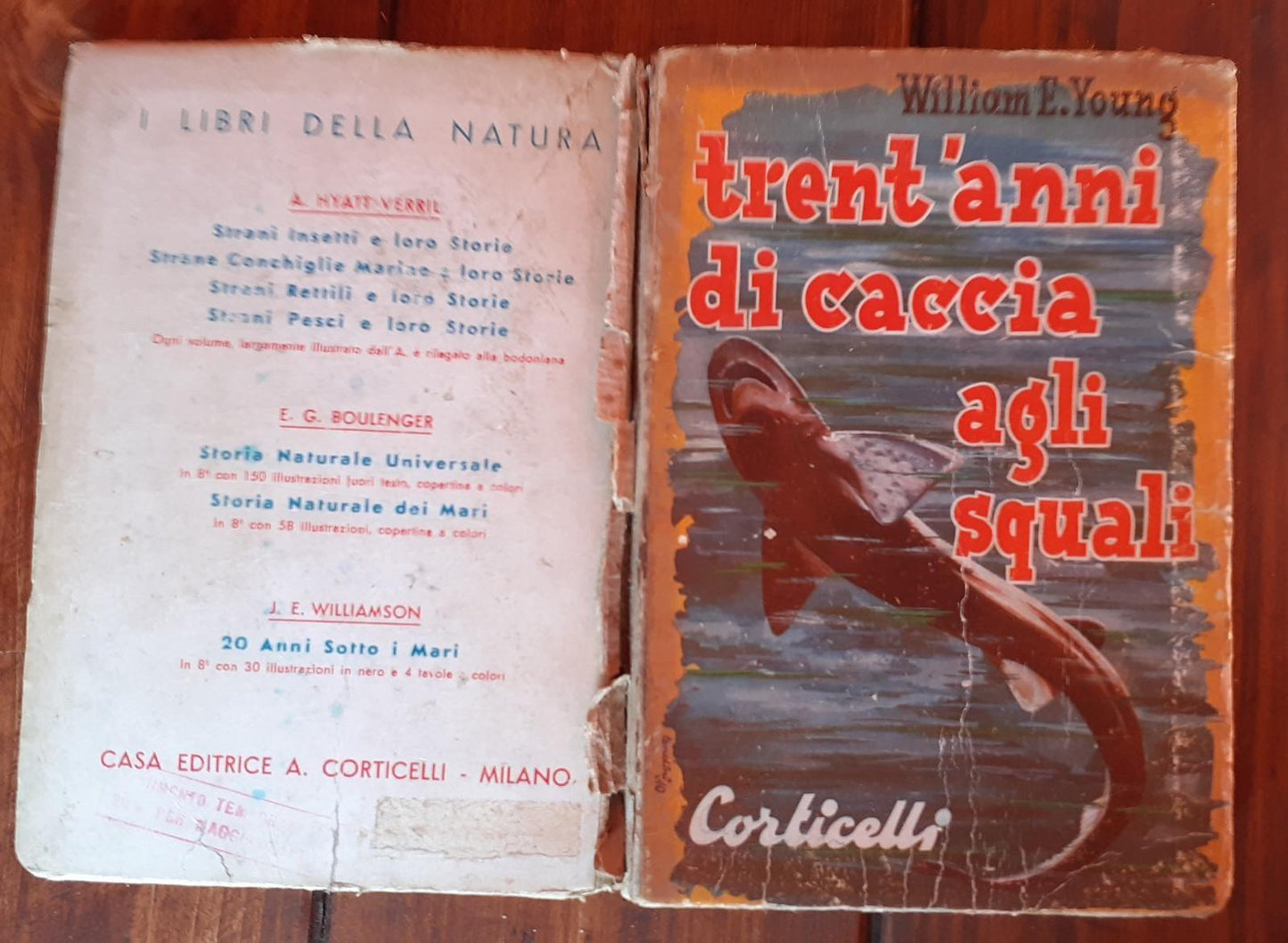 Trent'anni di caccia agli squali - copertina