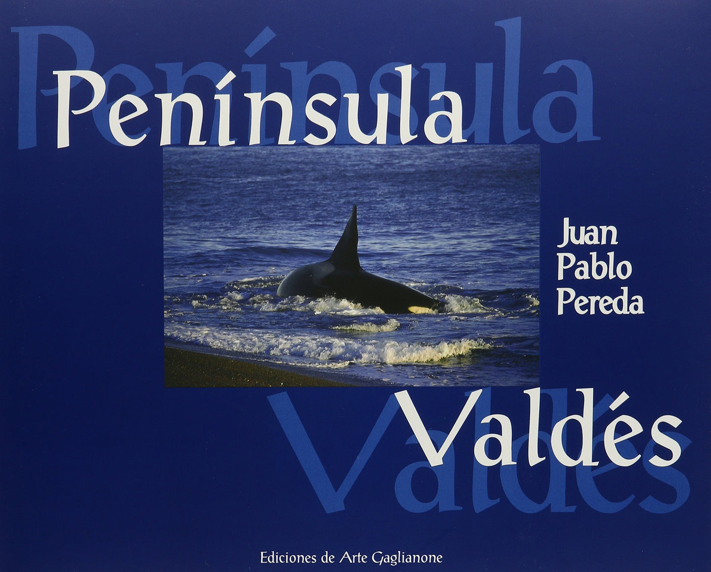 Peninsula Valdes - copertina
