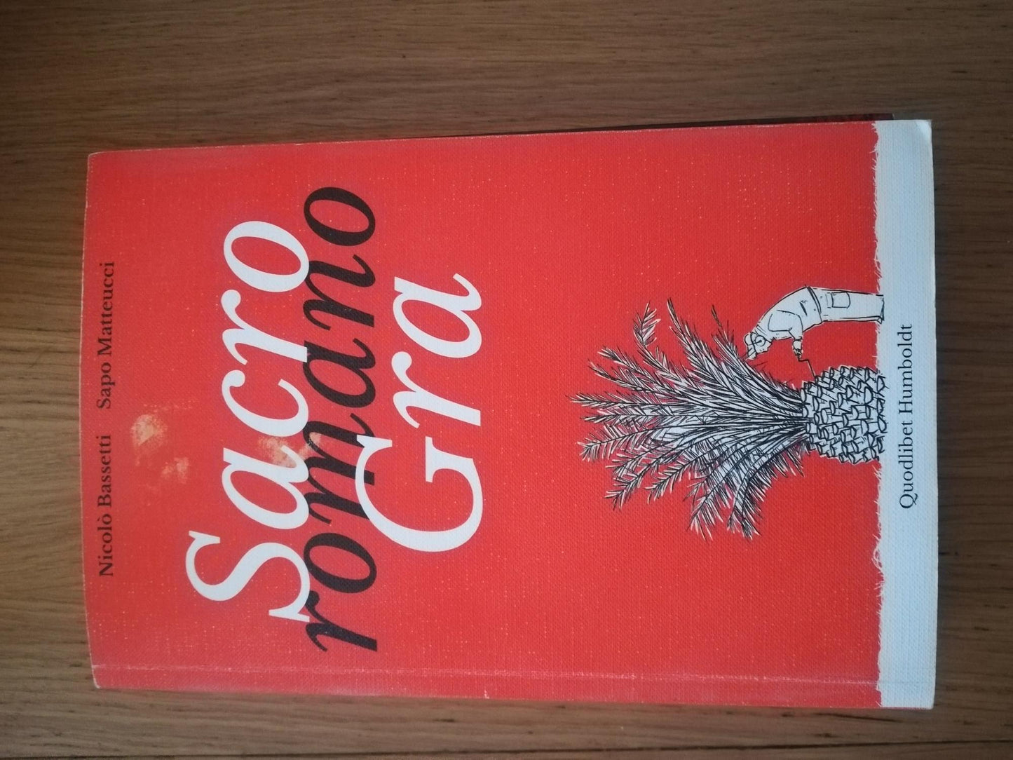 Sacro romano GRA. Persone, luoghi, paesaggi lungo il Grande Raccordo Anulare - copertina