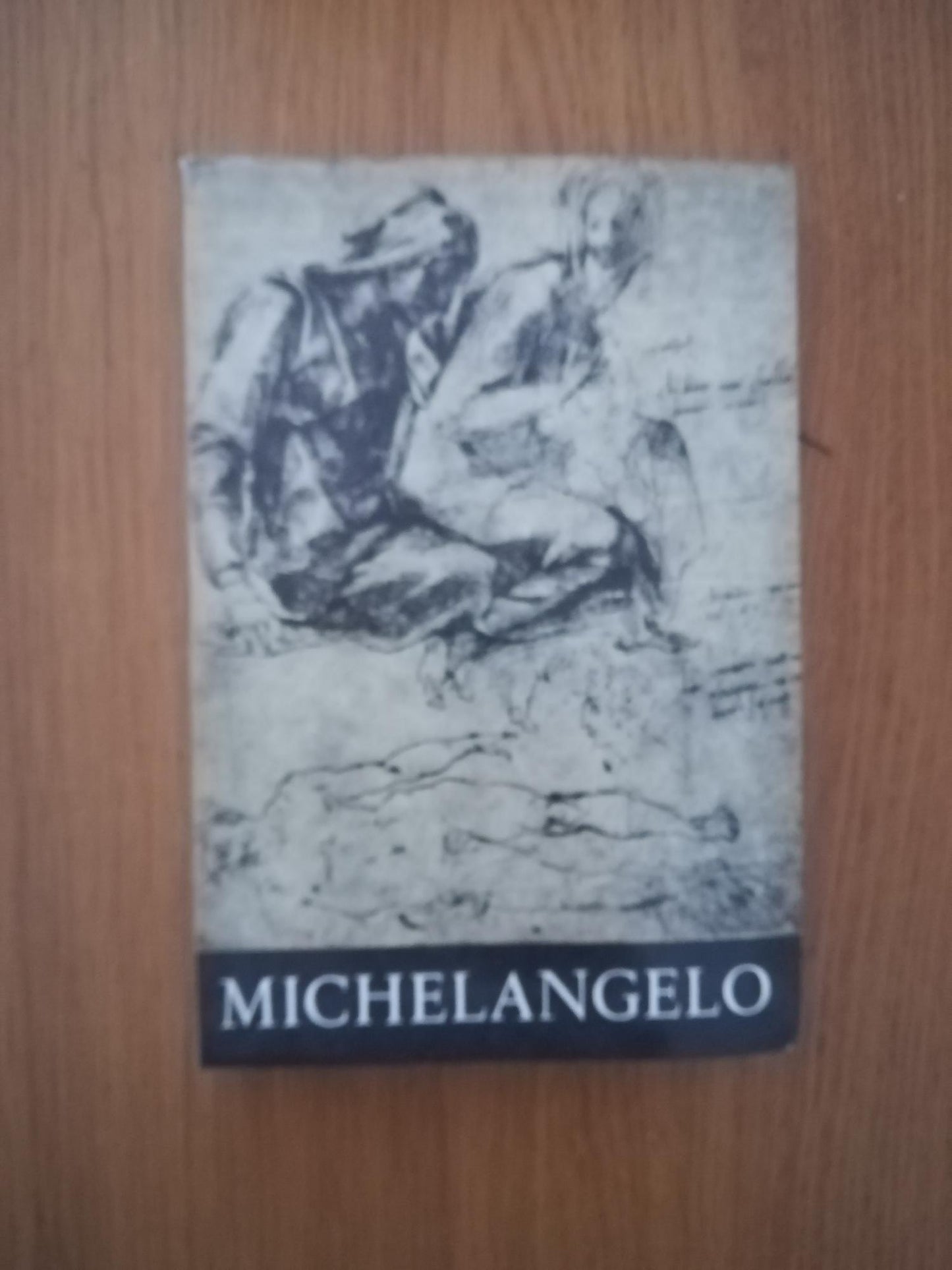 Michelangelo - copertina