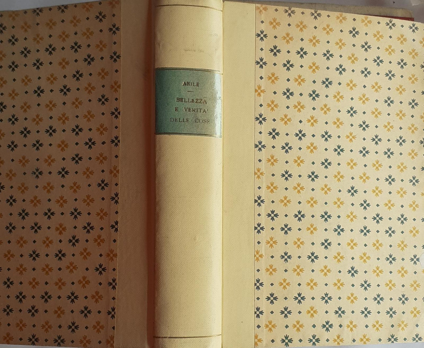 Bellezza e verita' delle cose (La divina realta') - copertina