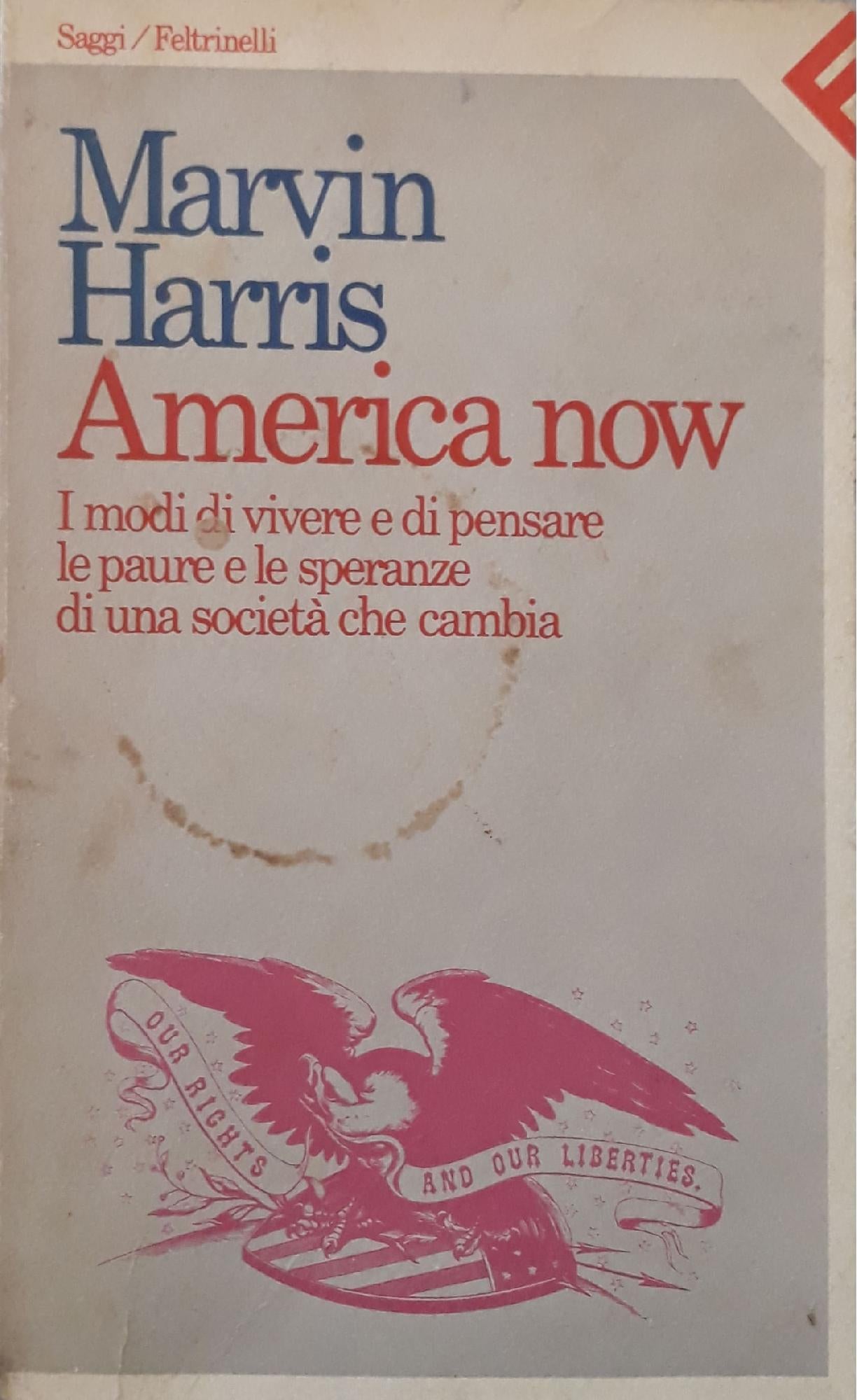 America now. I modi di vivere e di pensare, le paure e le speranze di una società che cambia - copertina