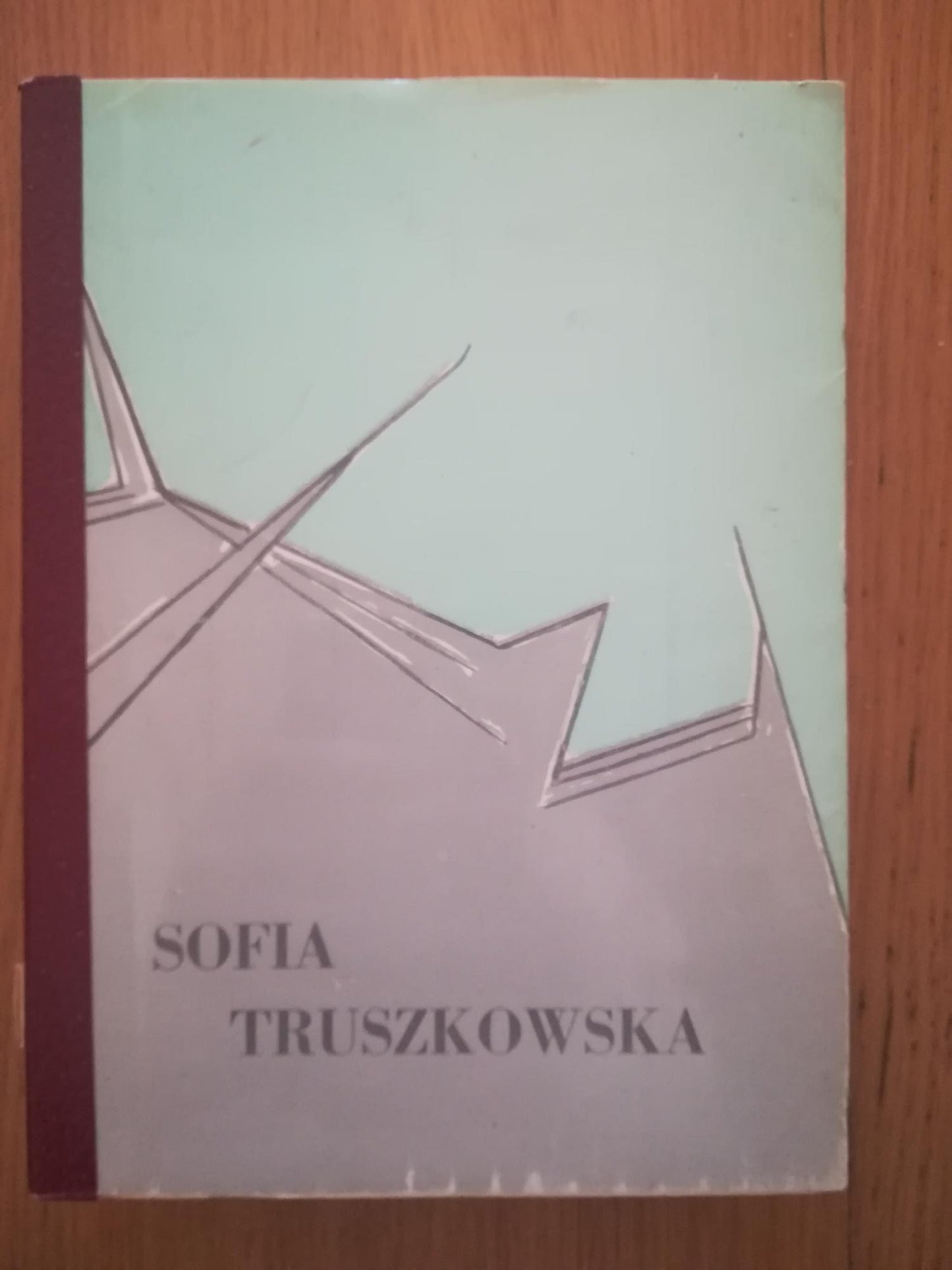 Sofia Truszkowska - copertina