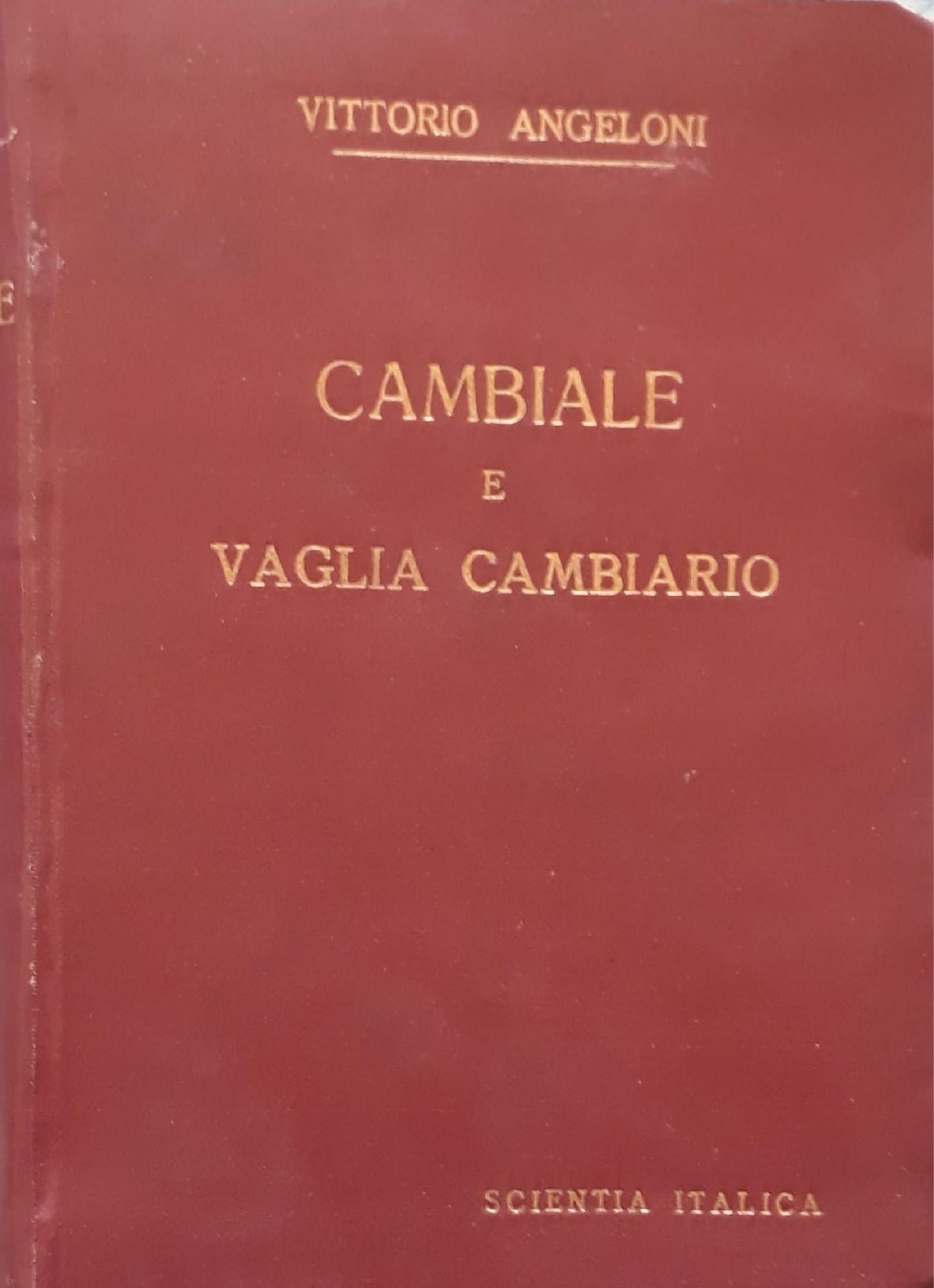 Cambiale e vaglia cambiario - copertina
