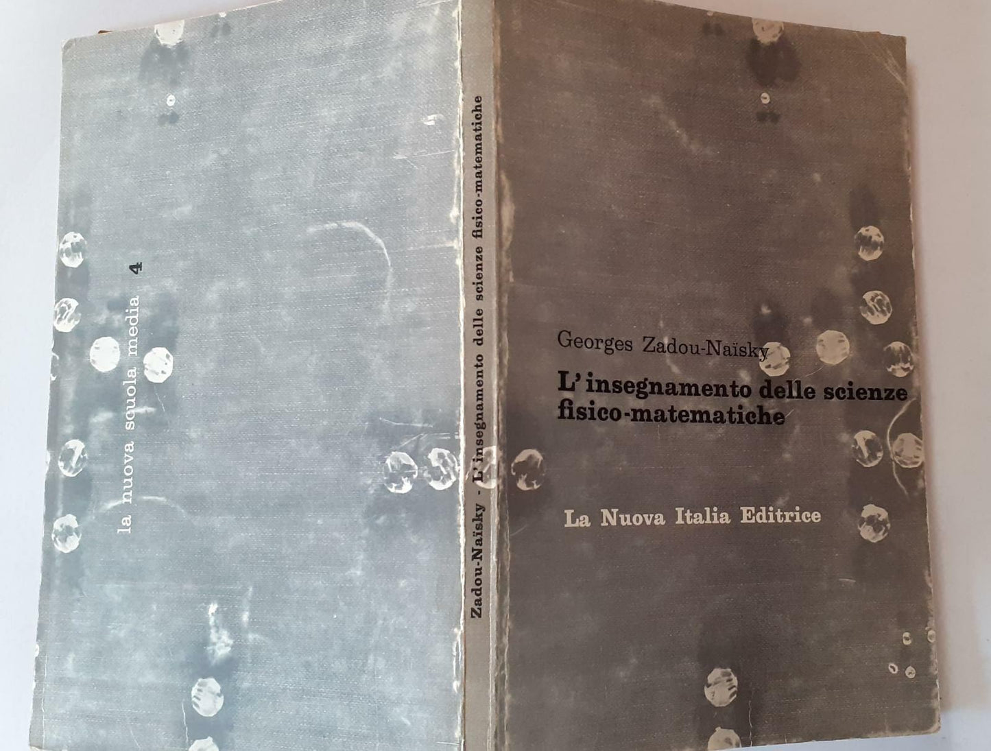 L'insegnamento delle scienze fisico-matematiche - copertina