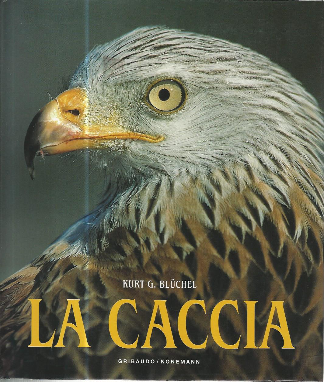 La caccia - copertina