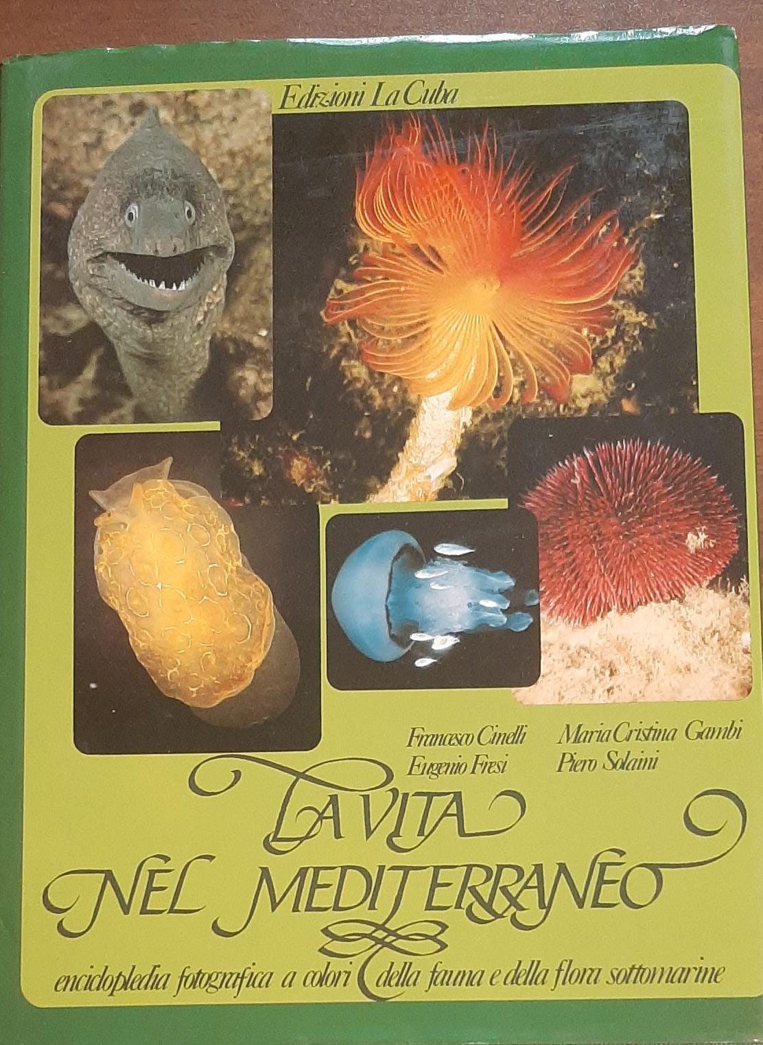 LA VITA NEL MEDITERRANEO ENCICLOPEDIA FOTOGRAFICA A COLORI DELLA FAUNA E DELLA FLORA SOTTOMARINE - copertina