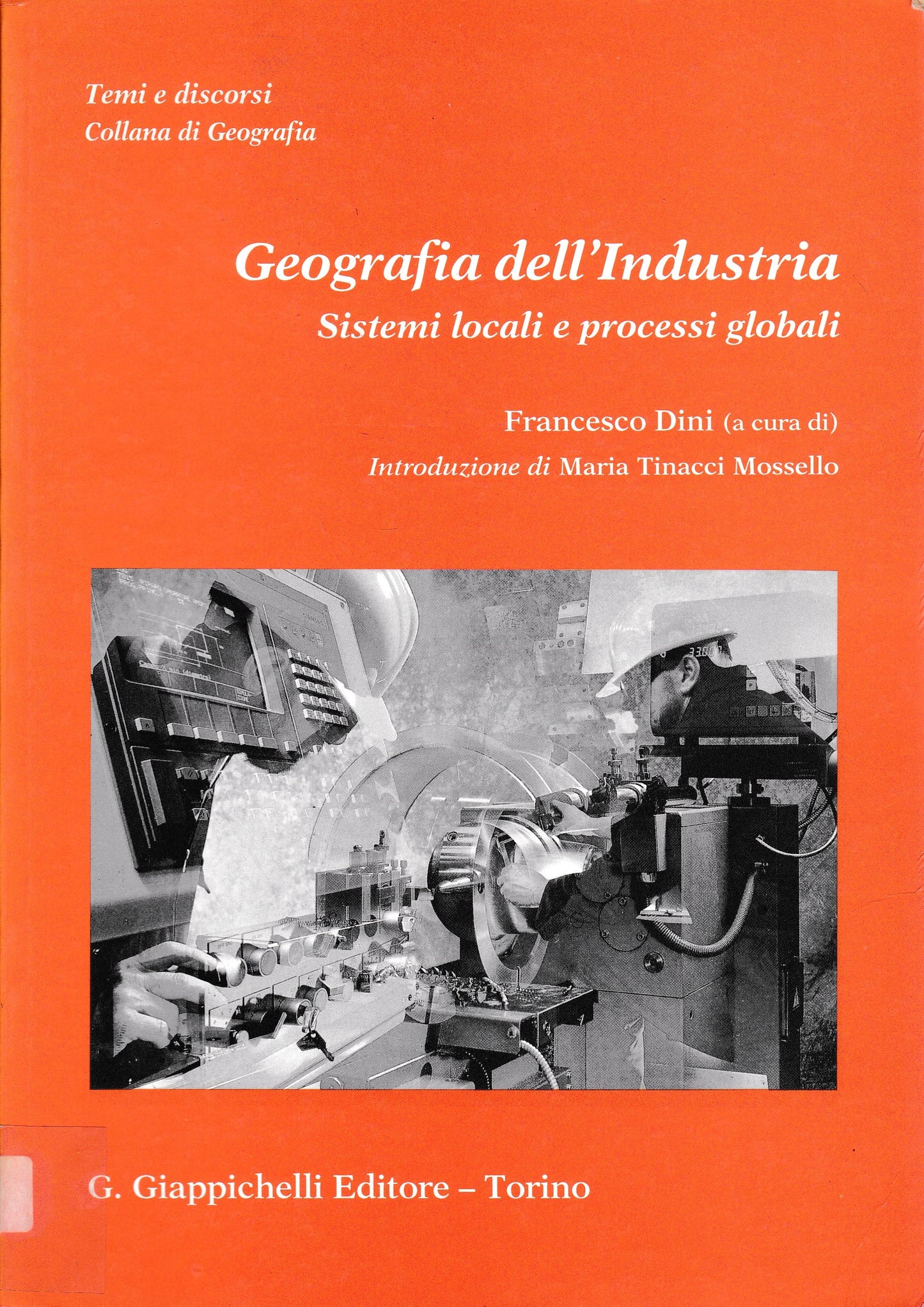 Geografia dell'industria. Sistemi locali e processi globali - copertina