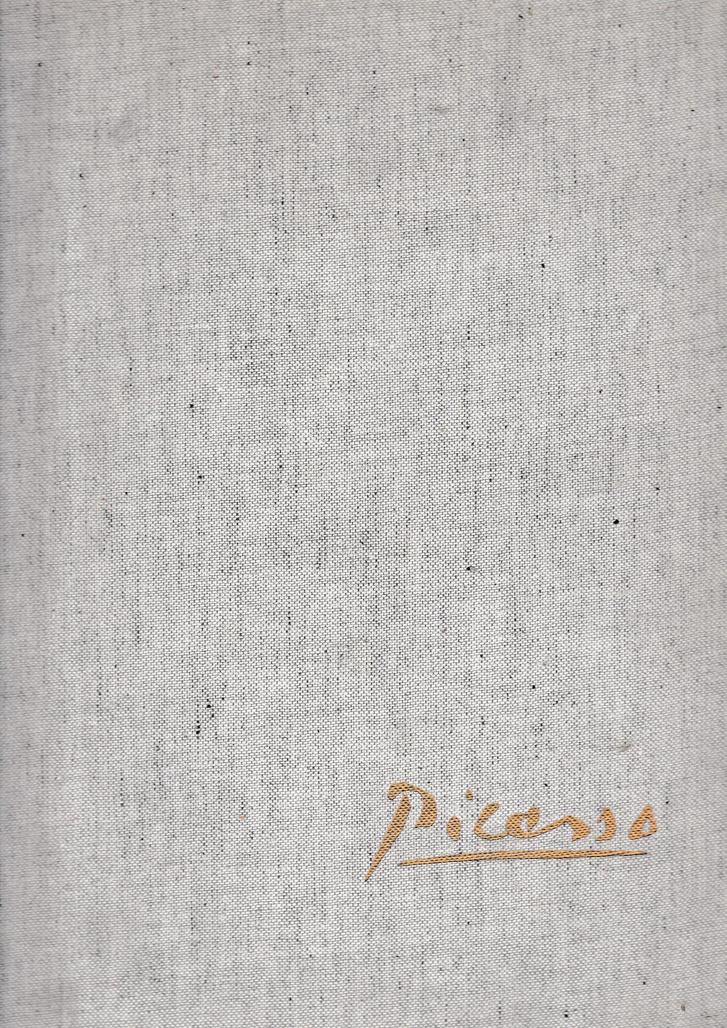 Picasso - copertina