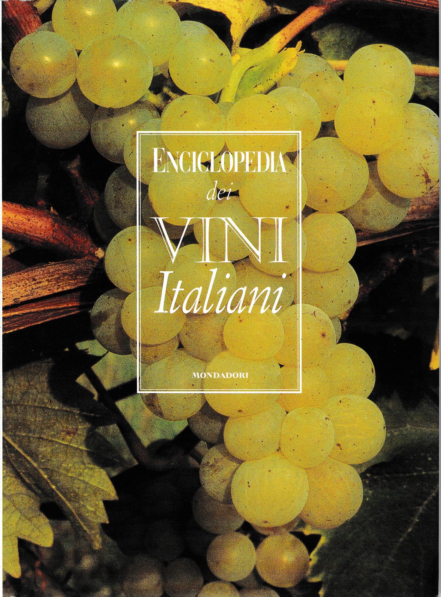 Enciclopedia dei vini italiani. Ediz. illustrata - copertina