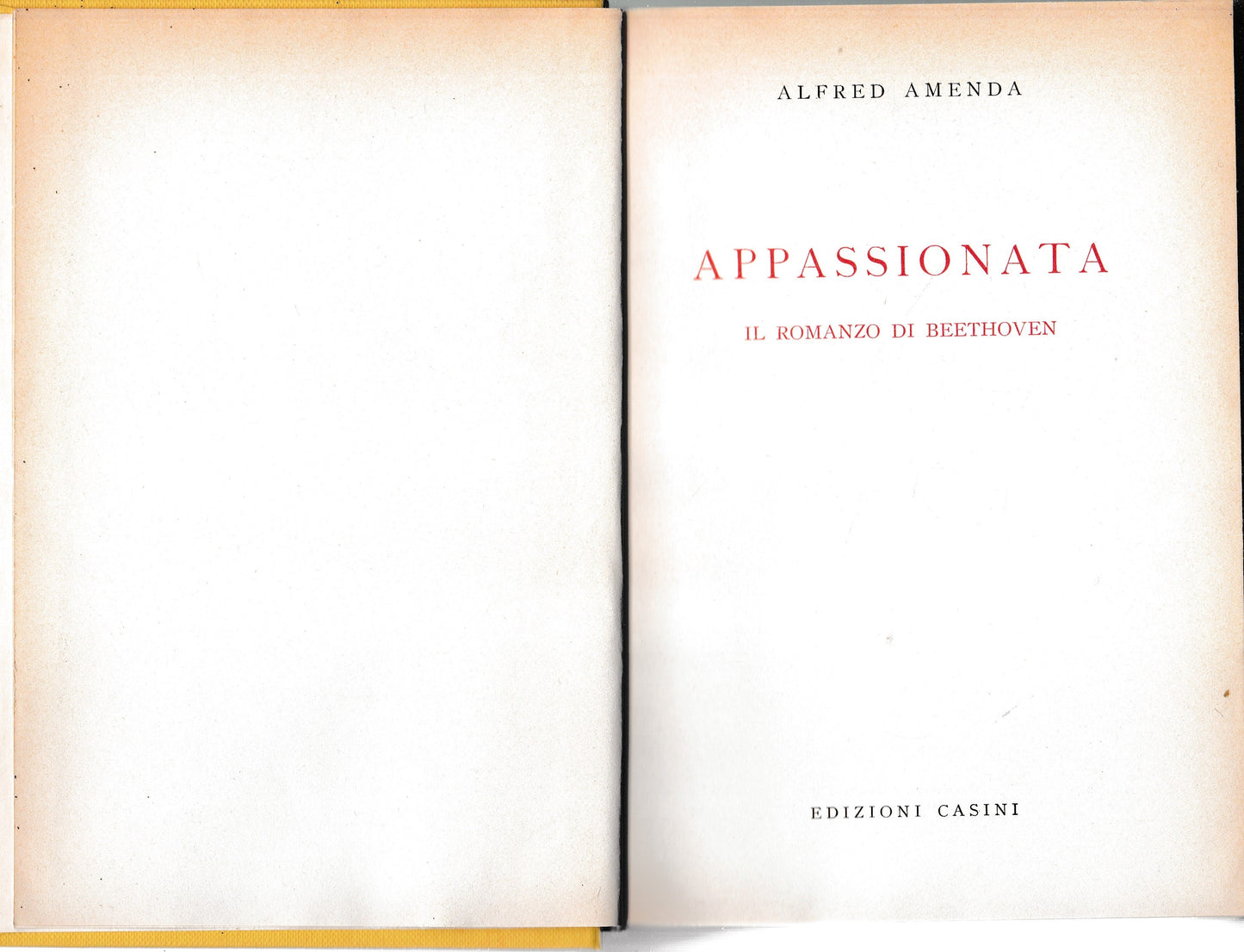 Appassionata. Il romanzo di Beethoven - copertina