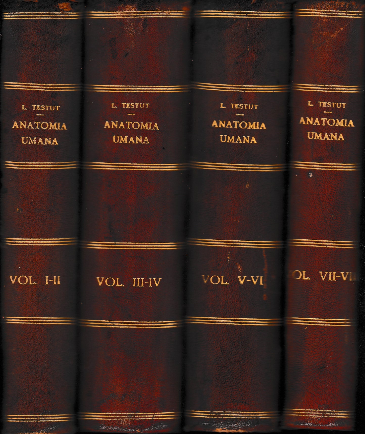 Anatomia Umana, dodici volumi. - copertina