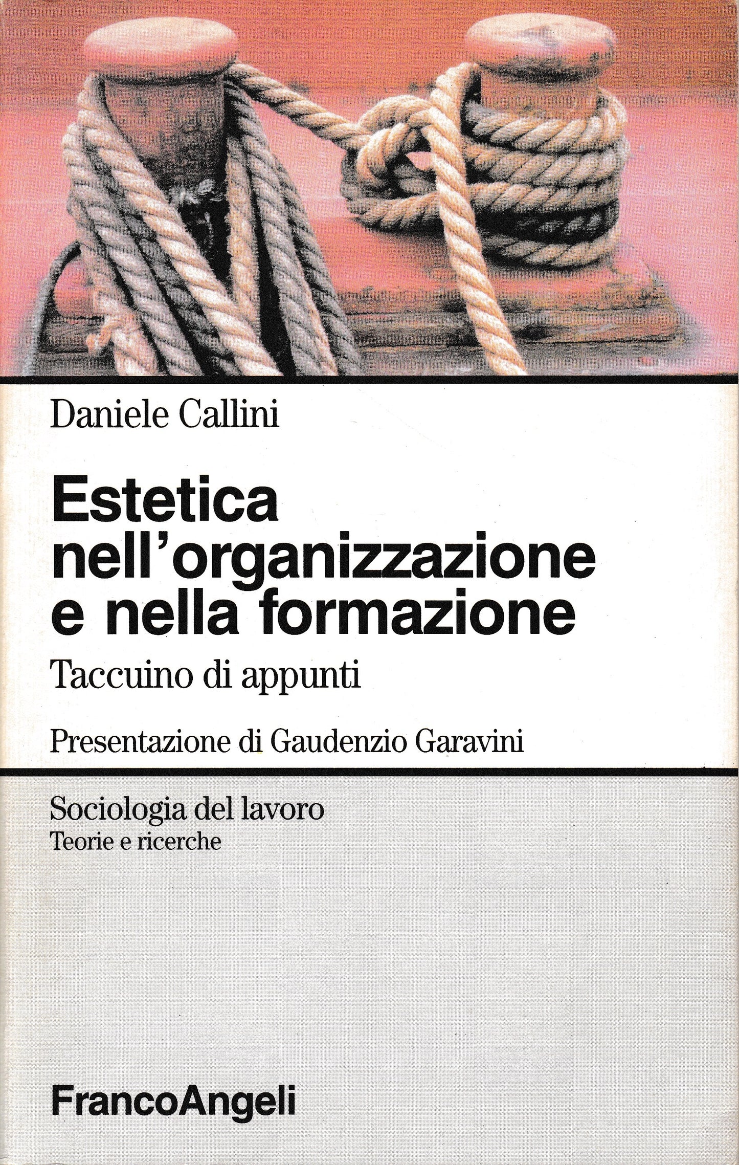 Estetica nell'organizzazione e nella formazione. Taccuino di appunti - copertina
