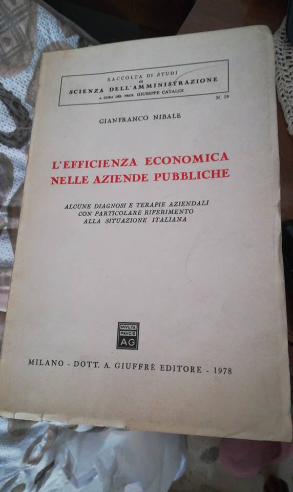 l'efficienza economica nelle aziende pubbliche - copertina