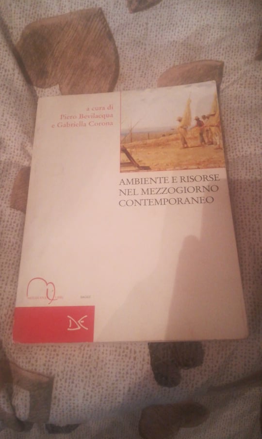 Ambienti e risorse nel Mezzogiorno contemporaneo - copertina