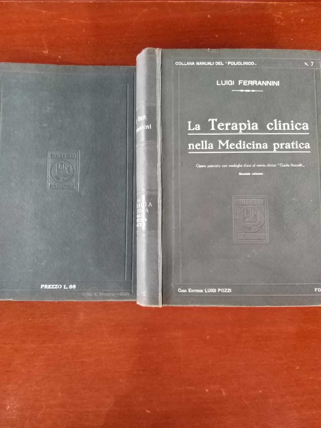 La terapia clinica nella medicina pratica - copertina