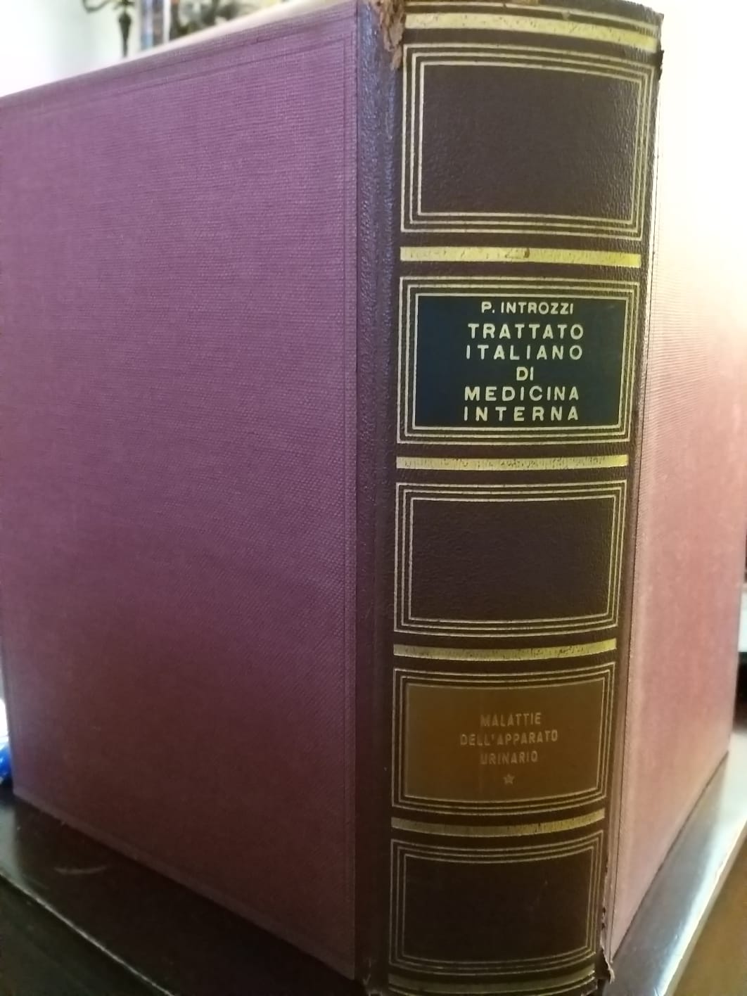 Trattato italiano di medicina interna (malattie dell'apparato urinario volume I) - copertina