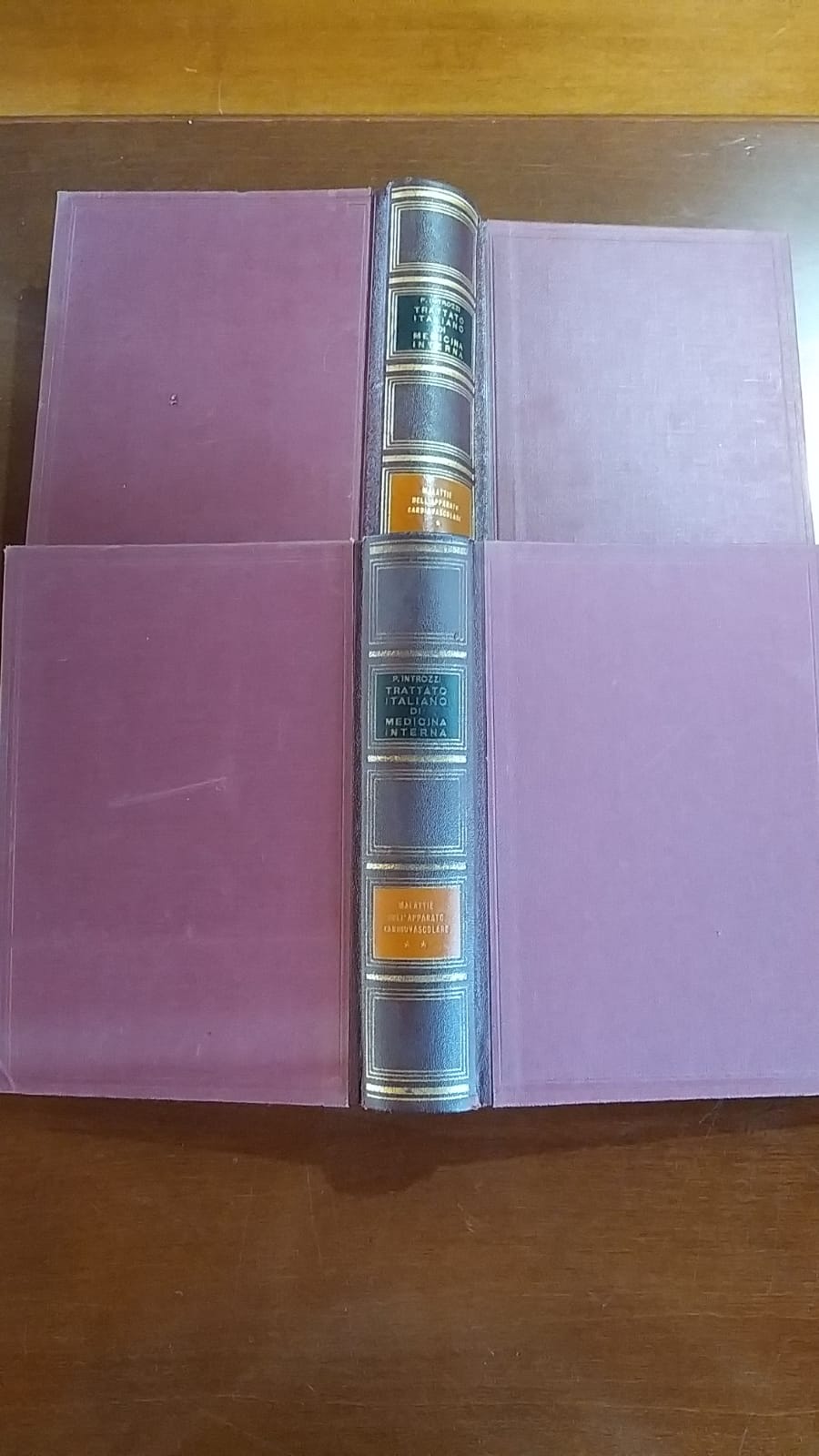 Trattato italiano di medicina interna Malattie nell'apparato cardiovascolare - copertina