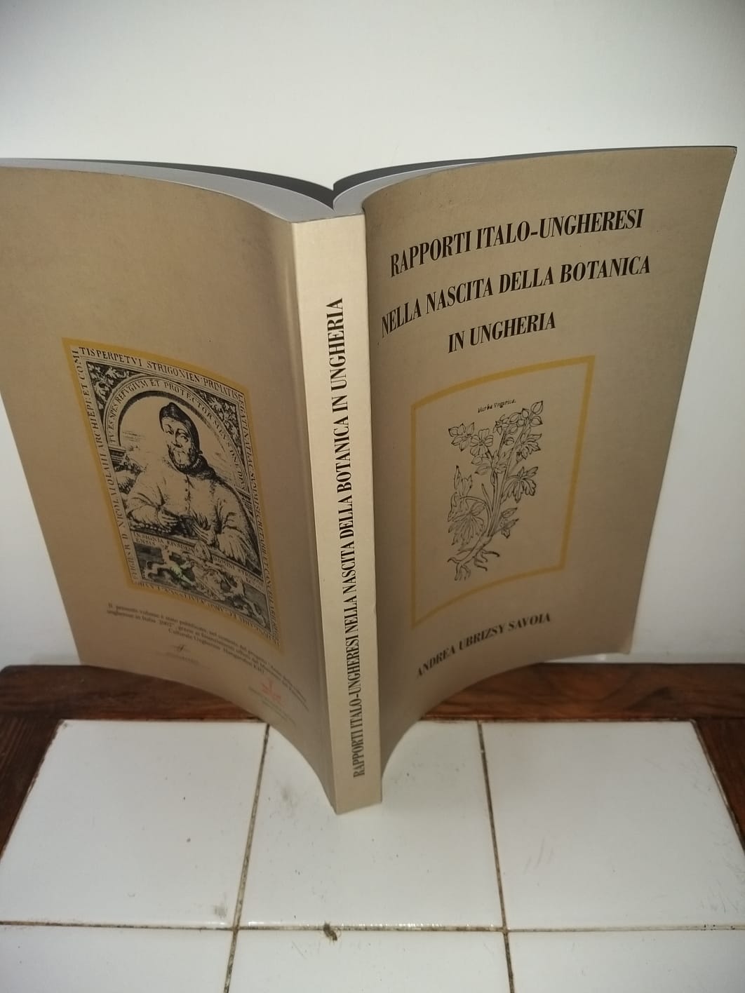 Rapporti italo-ungheresi nella nascita della botanica in ungheria - copertina