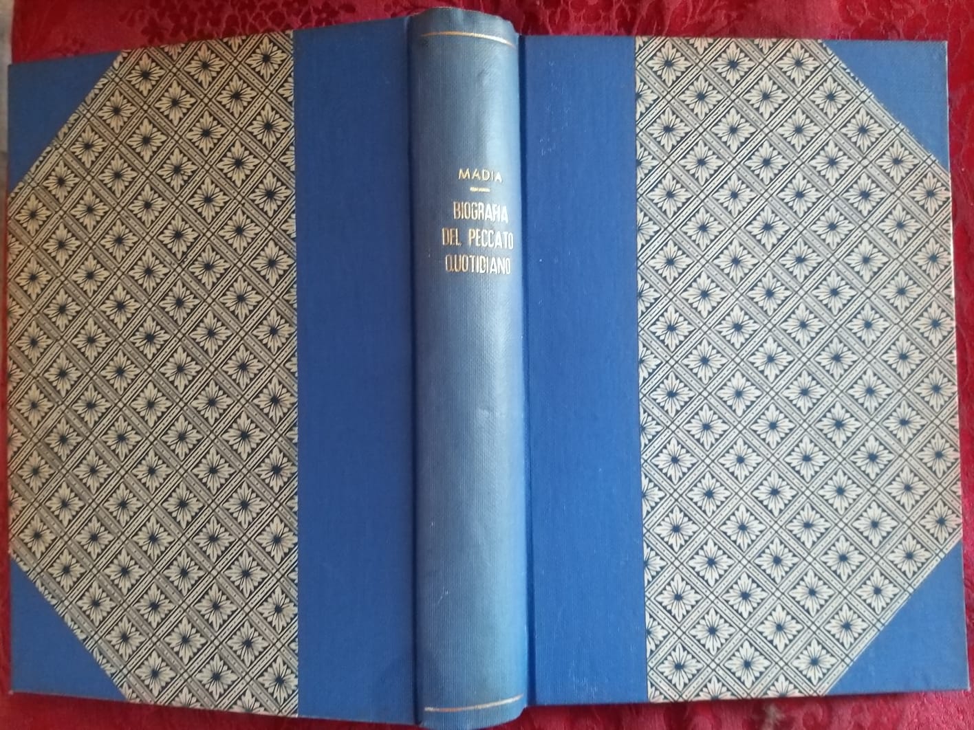 Biografia del peccato quotidiano - copertina