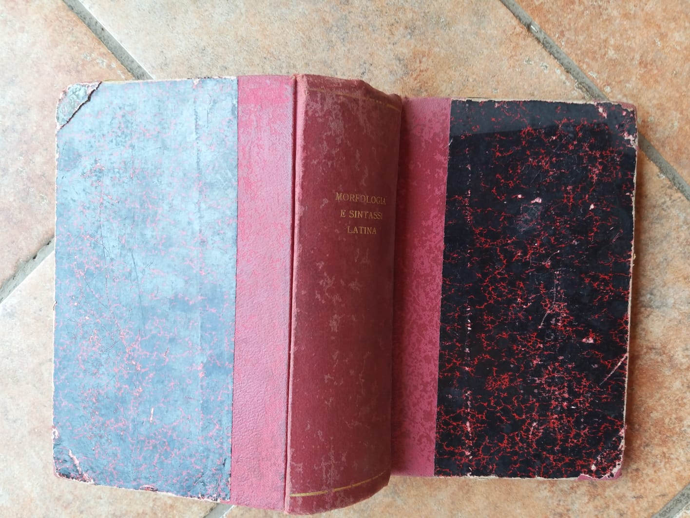 Morfologia latina Parte prima - copertina