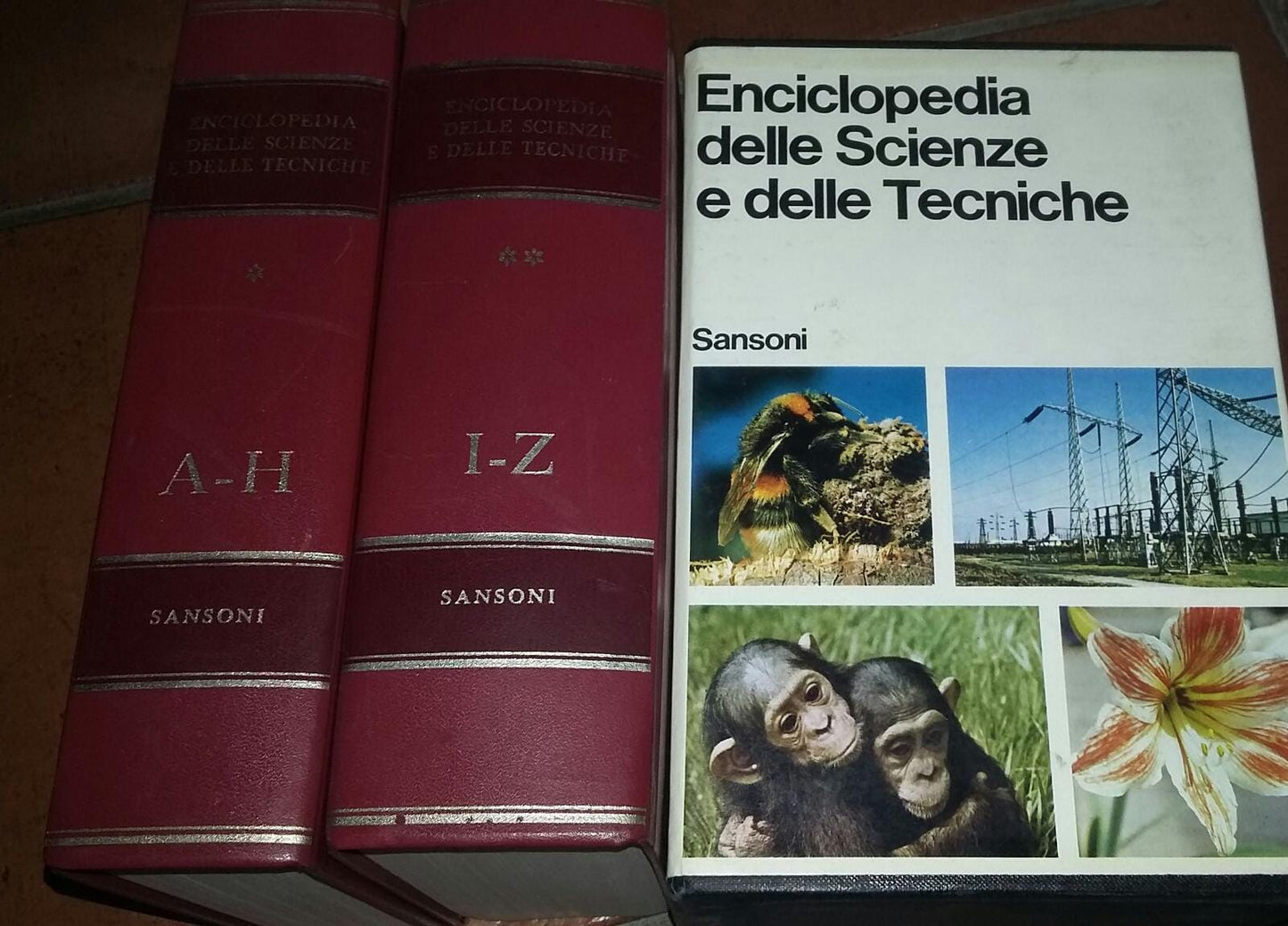 Enciclopedia delle scienze e delle tecniche.Volumi I II - copertina