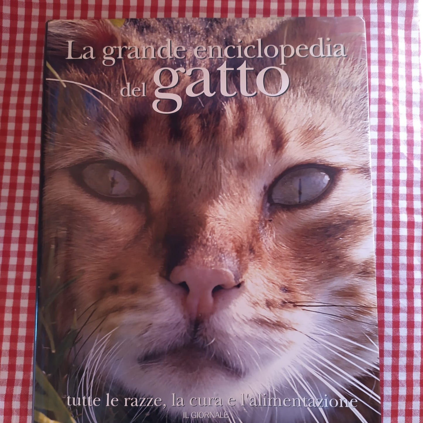 La grande enciclopedia del gatto - copertina