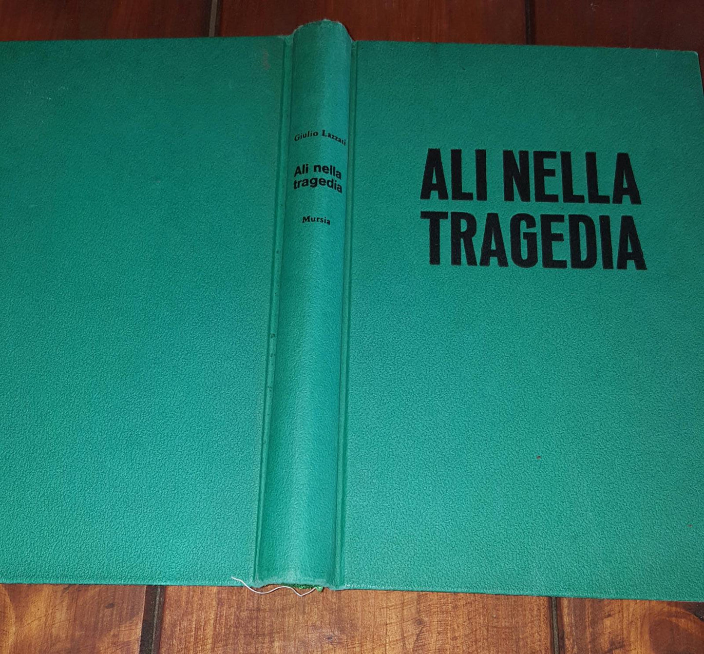 Ali nella tragedia - copertina