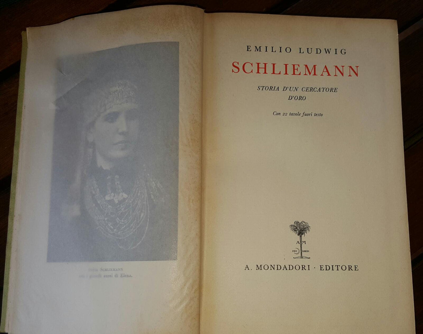 Schliemann. Storia d'un cercatore d'oro - copertina