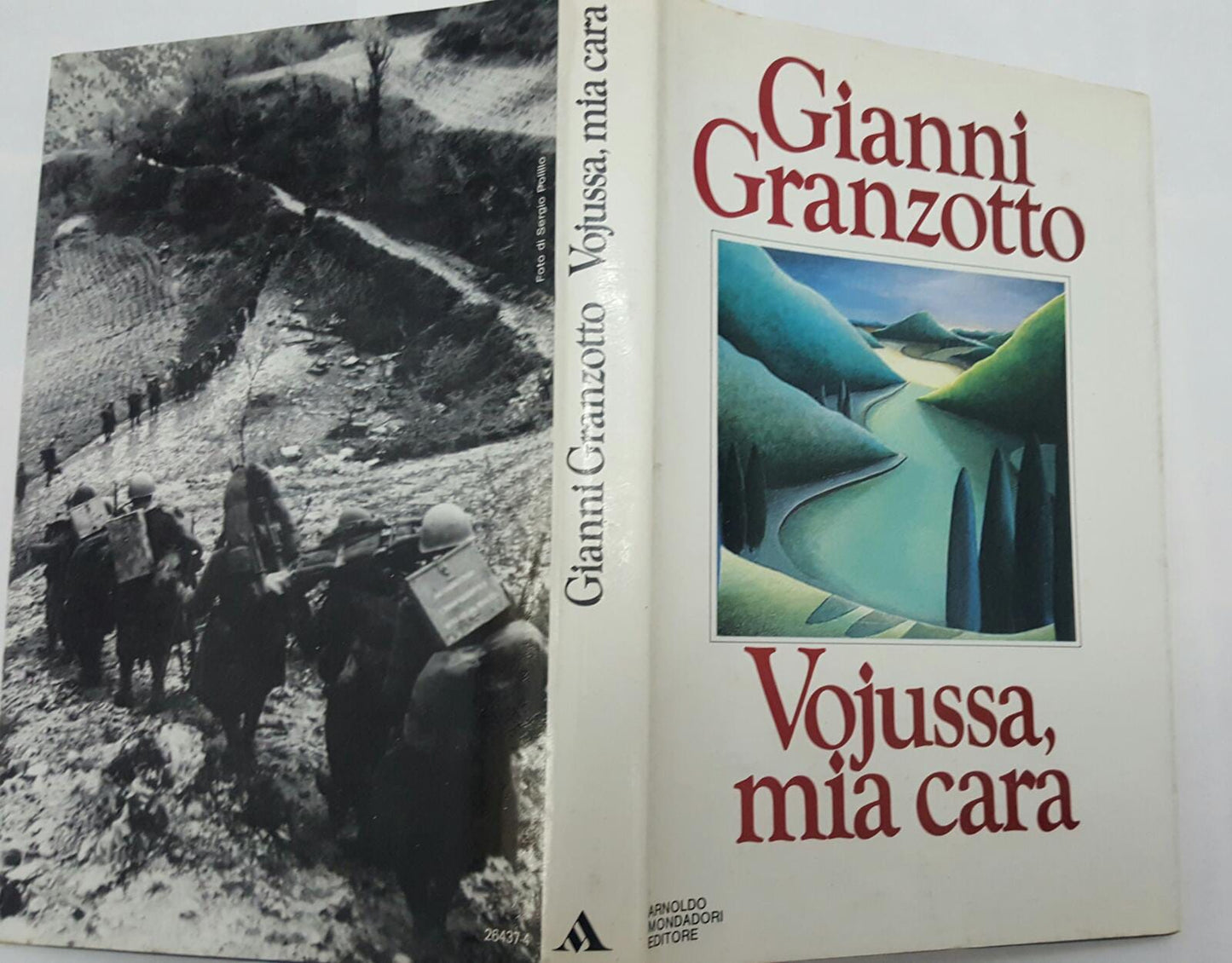 Vojussa, mia cara. Diario di guerra - copertina