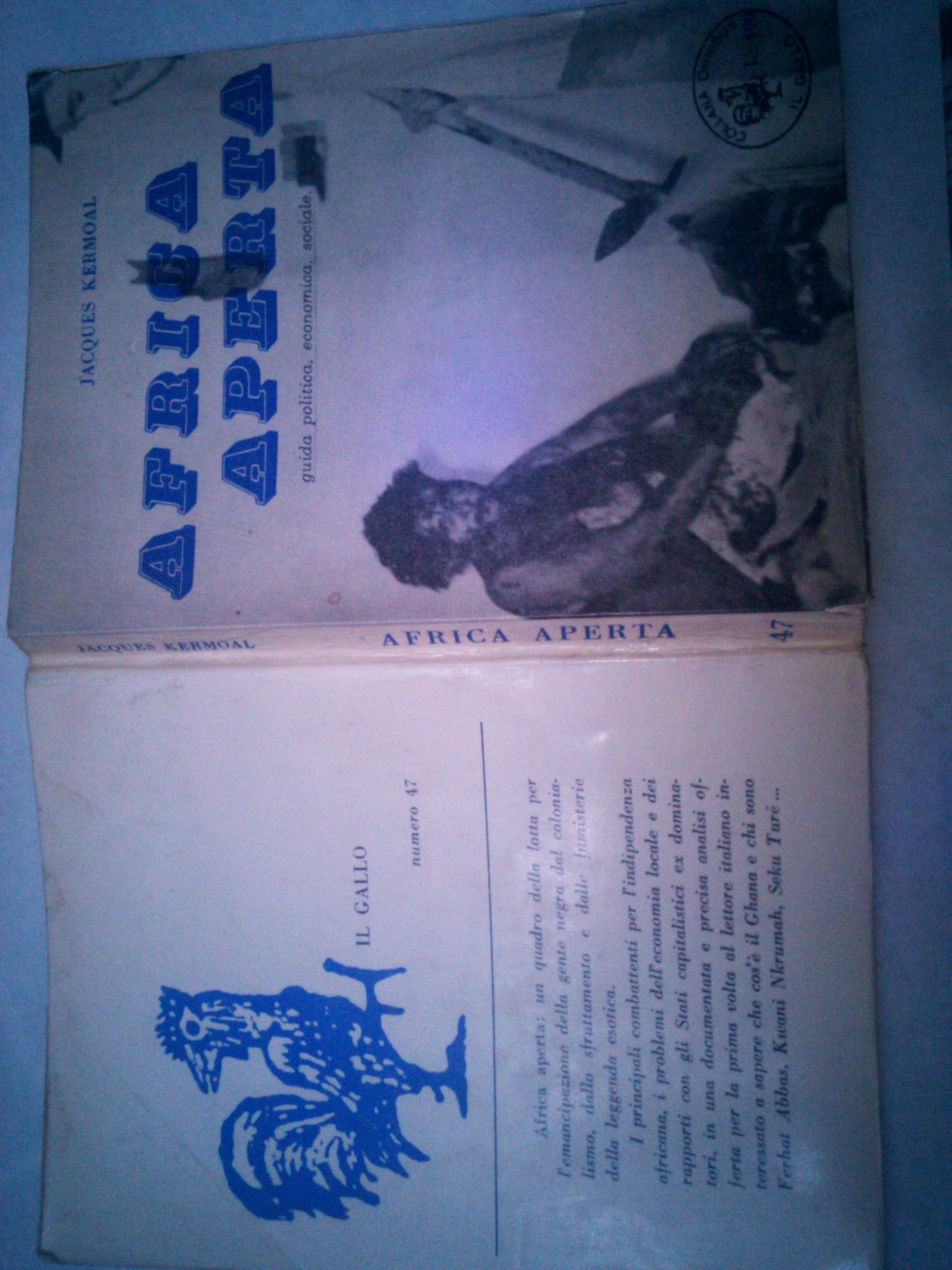 Africa aperta, guida politica, economica, sociale - copertina