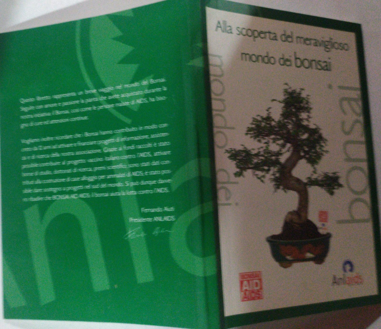Alla scoperta del meraviglioso mondo dei bonsai - copertina