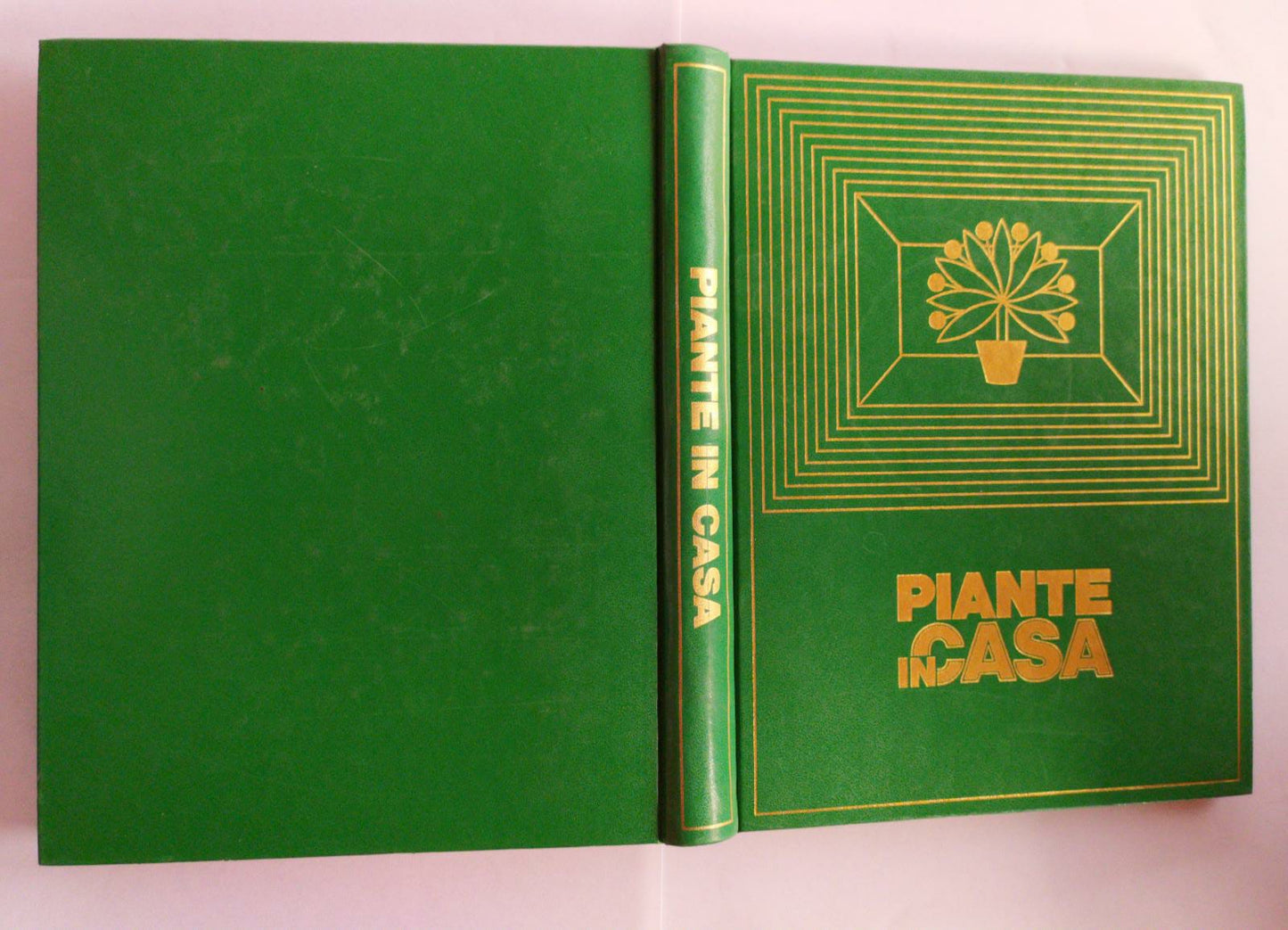 Piante in casa tutti i segreti per curare le piante ornamentali - copertina