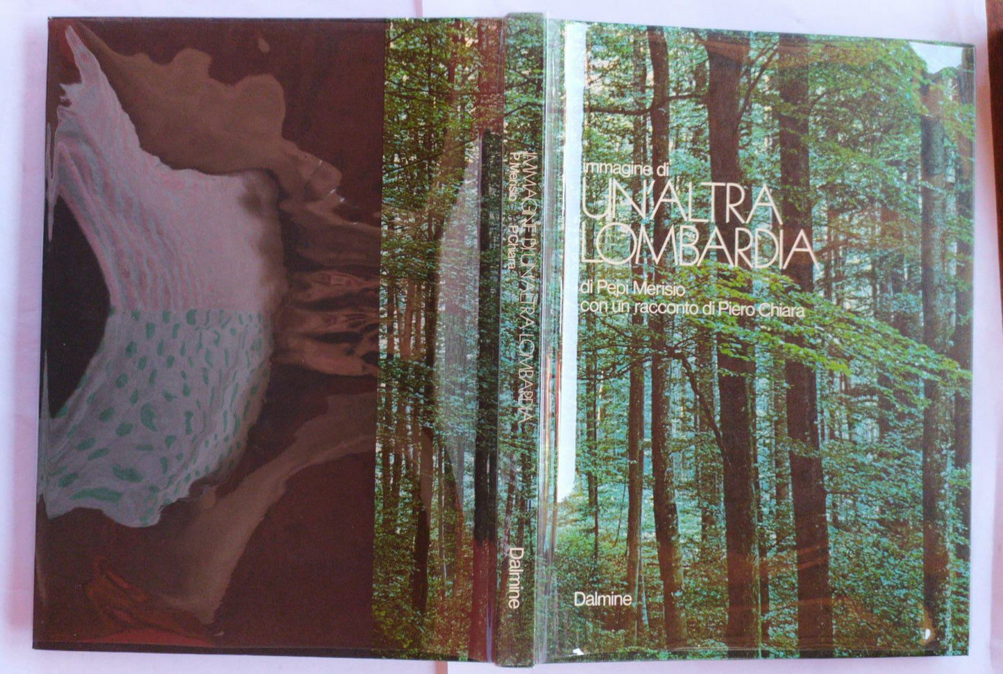 Immagine di un'altra Lombardia - copertina
