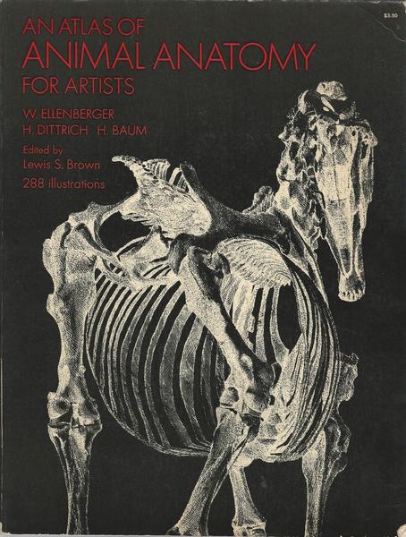 AN ATLAS OF ANIMAL ANATOMY FOR ARTISTS - copertina