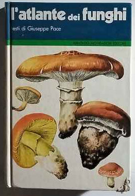 L'atlante dei funghi