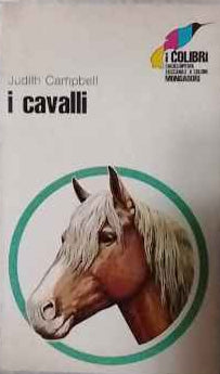 I cavalli