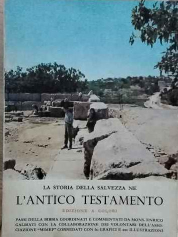 La storia della salvezza ne l'Antico testamento. Edizione a colori