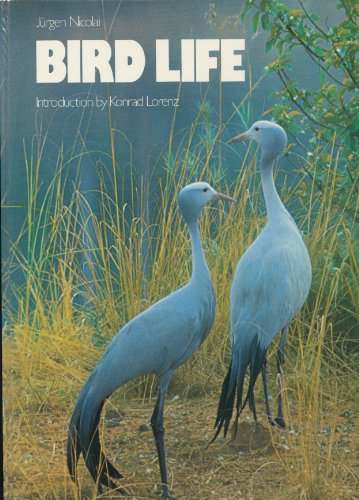 Bird Life - copertina